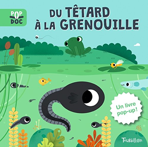 couverture de : Du t&ecirc;tard &agrave; la grenouille