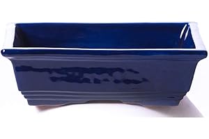 ALFAREROS DAMIAN CANOVAS Maceta para Bonsai DE Barro Y ESMATADA EN Color Azul Cobalto. Medidas 22X16X8 CM.Modelo Tokio. con TU Compra TE REGALAMOS EL Plato.