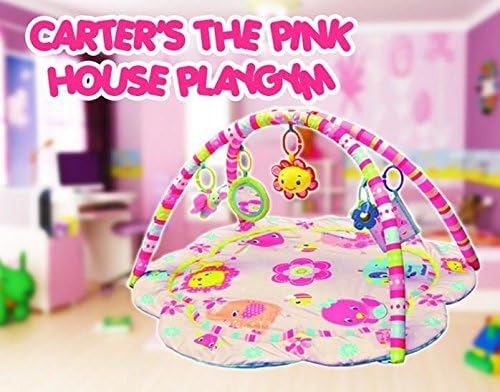 CARTER'S THE PINKY HOUSE PLAYGYM