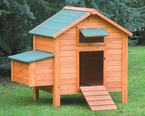 Poule Ferme Achat Vente De Poule Pas Cher