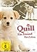 Quill - Ein Freund für's Leben