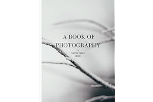 Grey and White coffee table books huge for decor: A Large Statement Table Book (HARDCOVER) | Decoration for Home Styling, Interior Design, or accent ... home: Miscellaneous Black & White photography