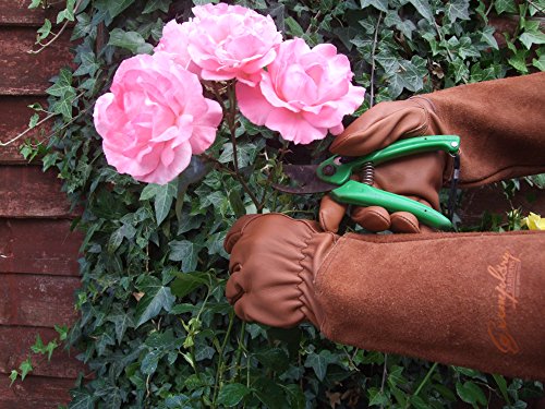 Rosen Gartenhandschuhe für Damen und Herren. Ziegenleder Gartenhandschuhe haben eine Lange Rindsleder Manschette zu Schützen für Ihre Arme, bis der Ellenbogen (groß, braun) - 3