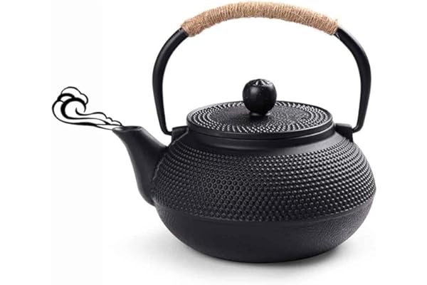Webao Théière en Fonte avec Infuser, 600ml Théière Induction pour Thé Noir, Bouilloire à Thé pour Les Amateurs de Thé, Noir