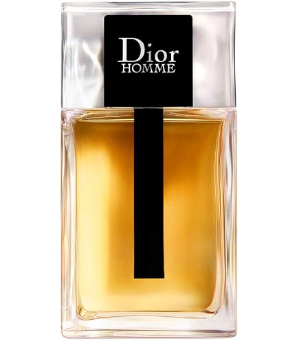 Christian Dior Homme EDT 100 ml Erkek Parfüm 1 Paket (1 x 100 ml
