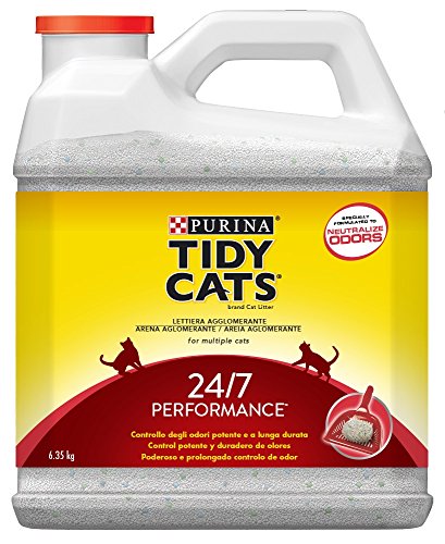 Purina Arena Gato Tidy Cats Dual Power 6.35Kg 6350 g