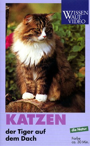 Preisvergleich Produktbild Katzen [VHS]