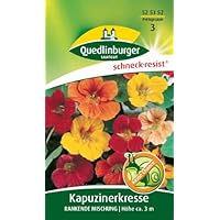 Kapuzinerkresse, Rankende Mischung