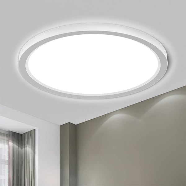 LQWELL® Deckenleuchte LED Deckenlampe, IP44 Wasserfest Badlampe Rund Flach 18W 6000K 1600LM Modern Schlicht Lampe Dünn für Wohnzimmer Badezimmer Schlafzimmer Küche Balkon Keller Büro, 220 * 24mm - 1