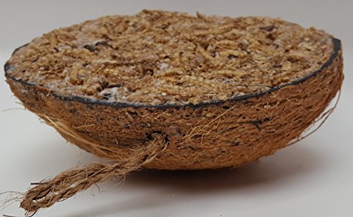 Halbe Kokosnuss gefüllt mit Fettfutter, Samenmischung, Mehlwürmer und Insekten für Wildvögel - 3