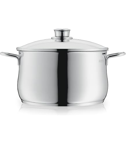 WMF Brilliant Kochtopf groß 24cm, Glasdeckel, Fleischtopf
