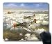 Produktbild Sonne Vigor die Wolken auf der Ebene, Maus Pad Oblong Geformte Eco Naturkautschuk Design Durable Mauspad Computer Zubehör Gaming Maus Pads für Geschenk