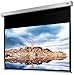 Price comparison product image celexon electric motor home cinema and presentation beamer screen incl. control box and remote control Pro Plus - 200x113 cm - 16:9 - Gain 1.2