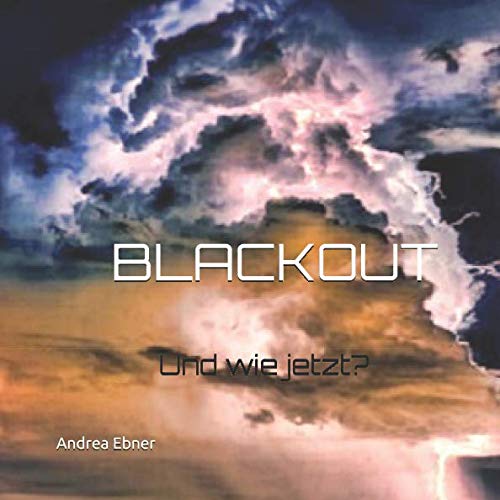 Preisvergleich Produktbild BLACKOUT: Und wie jetzt