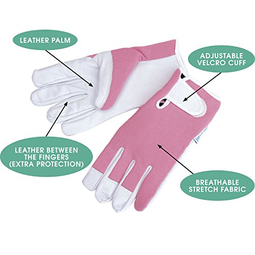 Lederne Gartenhandschuhe für Damen (mittelgroß / kleine Größe) – von Viridescent. Frauen lieben diese rosa, femininen, eng anliegenden Handschuhe. Schützend, bequem und langlebig (sogar sicher für das Zurückschneiden von Rosen). Die beste Geschenkidee für jede Gärtnerin. Kaufen sie es heute im Schlussverkauf! - 3