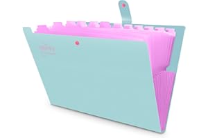 Cartella di file espandibile con 12 tasche,HAISSKY cartella a fisarmonica Organizer di carta Cartelle di documenti formato A4 Letter per scuola ufficio casa viaggio d'affari