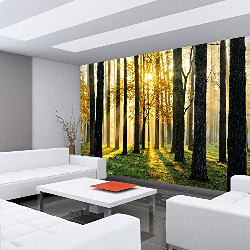 Vlies Fototapete 350×245 cm PREMIUM PLUS Wand Foto Tapete Wand Bild Vliestapete – SUNLIGHT FOREST ll – Wald Bäume Sonnenstrahlen grün grün Ruhe – no. 062 - 6
