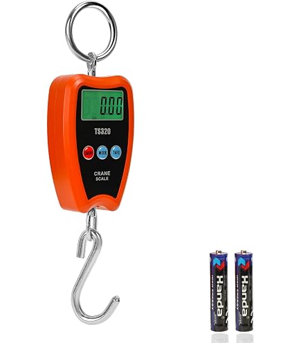 Taylor Precision Hanging Scale – Bis 280 Lb / 127 Kg, Robuste Stahlhaken, Leicht Ablesbar
