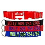 ● PARA PEDIR Y HACER CLIC EN "Personalizar ahora" e ingrese: (1) COLOR COLOR: Rojo, Azul, Negro; (3) COLOR DE ROSCA: Blanco, Azul cielo, Rojo, negro, amarillo, morado, verde, azul marino, Neongreen, verde claro o azul claro; (4) NOMBRE DE MASCOTA Y NUMERO DE TELEFONO: 21 caracteres como máximo (opcional). Cuando termine, haga clic en "Agregar a la cesta".