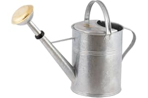 PLINT 9L Watering Can - Modern Style Watering Pot for Indoor and Outdoor House Plants - Coloured Galvanised Powder Coated Steel - Metal Design With Narrow Spout And High Handle - (Zinc)