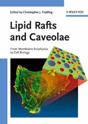 Lipid Rafts and Caveolae: From Membrane Biophysics to Cell Biology (2006-01-20)