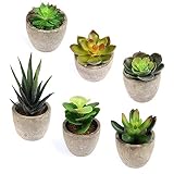 【Tamaño pequeño】Las plantas falsas miden aproximadamente 6,5 cm de diámetro, aproximadamente 14,5 cm de altura (desde la punta superior de la planta hasta el fondo de la maceta). Detalle del tamaño por favor verifique la imagen 5, 6, 7.