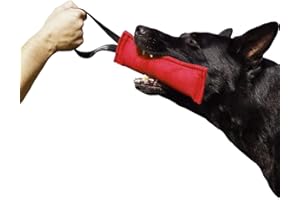 DINGO GEAR WWW.DINGOGEAR.COM 1977 Dingo Gear IGP & Fun Jouet à mâcher en nylcot pour Dressage de Chien Rouge 28 x 7 cm