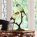 Price comparison product image Glass Table Lamp Tiffany Parrot Lover 2 bulbs