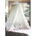 Mosquito Nets 4 U Bed Canopy with Silver Sequined Valance, White
