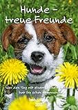 Hunde - treue Freunde 2013. Trends & Classics by 