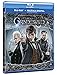 Animales Fantásticos: Los Crímenes De Grindelwald Blu-Ray [Blu-ray]
