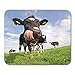 Produktbild AOCCK Gaming Mauspads, Gaming Mouse Pad Blue Weird Holstein Cow Tongue Sticking Out Pink Funny Silly 11.8"x 9.8" Decor Office Nonslip Rubber Backing Mousepad Mouse Mat