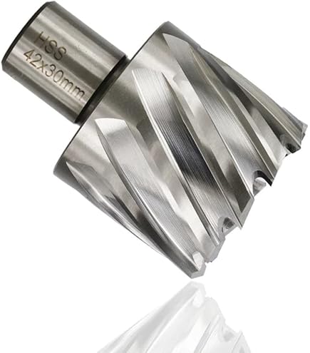 Fraise HSS Nova FEIN 25 Mm - Emmanchement QuickIN Pour Coupe Précise Métal, Bois, Plastique