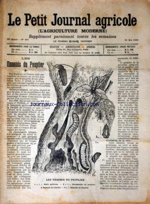 PETIT JOURNAL AGRICOLE (LE) [No 490] du 21/05/1905 - LES ENNEMIS DU PEUPLIER - LES CHAMPS - LA FERME - LES VIGNES - PETITES CULTURES gratuit