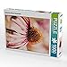 Produktbild Echinacea (Purpur Sonnenhut) 1000 Teile Puzzle Hoch