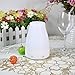 Produktbild Lychee Luftbefeuchter 130 ml Ultraschall Aroma Diffuser LED Nachtlicht Kalten Nebel Technologie Mini Raumbefeuchter für Wohnzimmer Kinderzimmer Schlafzimmer Auto Yogazimmer SPA und Büro usw