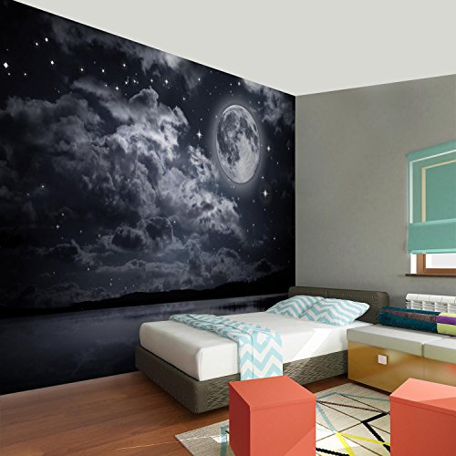 Fototapete Vollmond 308 x 220 cm – Vliestapete – Wandtapete – Vlies Phototapete – Wand – Wandbilder XXL – !!! 100% MADE IN GERMANY !!! Runa Tapete 9116010c - 5