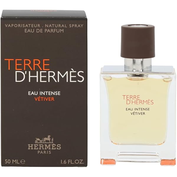 Hermes Terre D'Hermes EDT 100ml Erkek Parfümü : Amazon.com.tr