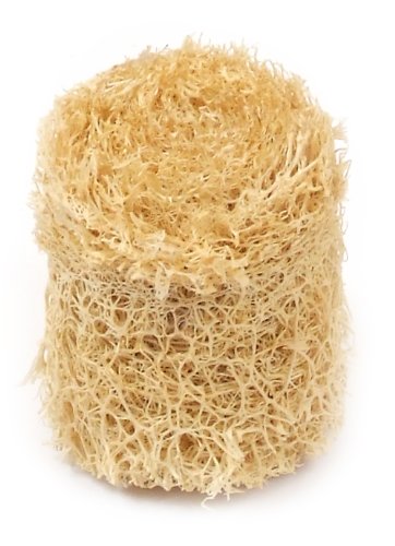 Preisvergleich Produktbild Loofah Savannah Luffa-Schwamm zur Hornhautentfernung