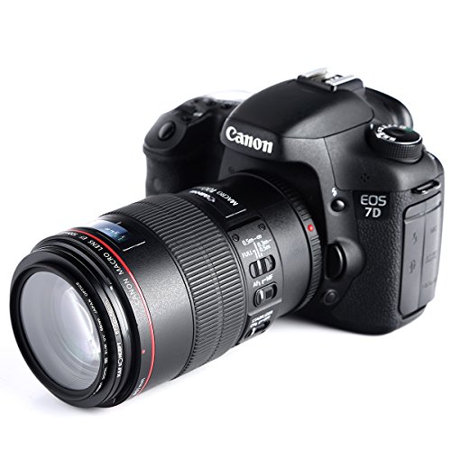 K F Concept 11pcs Step Down Filtre Bagues d Adaptation Filtre Adaptateur en M tal 30-26MM 37-30MM 43-37MM 52-43MM 55-52MM 58-55MM 62-58MM 67-62MM 72-67MM 77-72MM 82-77MM pour Nikon D5200 D5100 D3200 D3100 pour Canon Powershot SX30 SX40 SX50 40 7d 70d 6d 60d 5d Mark III T5i T4i T3i T3 T2i T1i XT XTi XSi SL1 DSLR Cam ra reviews K F Concept 11pcs Step Down Filtre Bagues d Adaptation Filtre Adaptateur en M tal 30-26MM 37-30MM 43-37MM 52-43MM 55-52MM 58-55MM 62-58MM 67-62MM 72-67MM 77-72MM 82-77MM pour Nikon D5200 D5100 D3200 D3100 pour Canon Powershot SX30 SX40 SX50 40 7d 70d 6d 60d 5d Mark III T5i T4i T3i T3 T2i T1i XT XTi XSi SL1 DSLR Cam ra