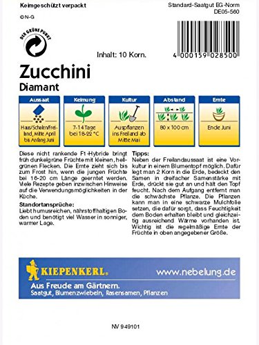 Zucchini Diamant grün - 2