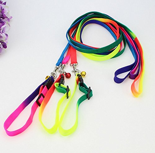 DaWa-1-Pcs-12m-Durable-Pet-Dog-Nylon-Adjustable-Loop-Training-Leash-Slip-Lead-Traction-Rope-Dog-Chain-Belt-Pet-Dog-SuppliesColorful