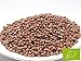 Produktbild pikantum Bio Rettich | 1kg | Keimsaat für Sprossen | 99,9% Reinheit | erstklassige Keimfähigkeit
