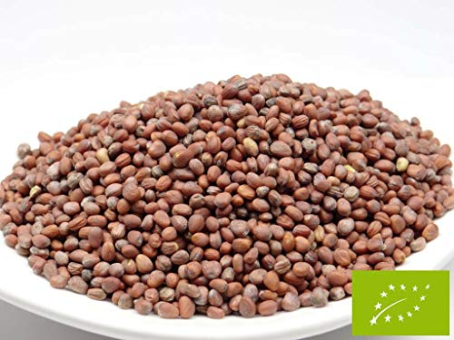 Preisvergleich Produktbild pikantum Bio Rettich / 1kg / Keimsaat für Sprossen / 99,9% Reinheit / erstklassige Keimfähigkeit