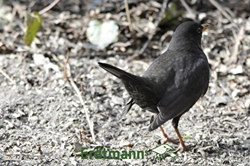 Erdtmanns Fettfutter, 1er Pack (1 x 5 kg) - 9