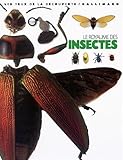 Image de Le Royaume des insectes