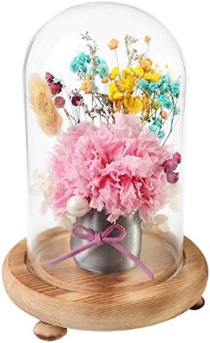 Preserved Fresh Flower Glass cover Rose Immortal Flower Birthday Creative Gifts Christmas Thanksgiving Best Gift Home Furnishings Gifts, carnations, immortal flowers, glass cover