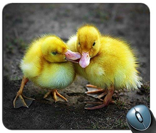 Preisvergleich Produktbild Mauspad, Ducklings Angepasst Mauspad Rechteck Mauspad Gaming Mauspad