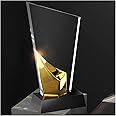 Glass Crystal Award Trophy,Gold Trophies, Personalized Achievement Trophy With Presentation Case & Free Engraving For Competition Parties (Color : Gold, Size : 11.5x25cm)