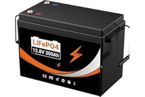 HXRFOAK Batterie lithium LiFePO4 12V 300Ah- BMS 300A intégré - Batterie 4000-15000 cycles- Puissance de charge max.3840Wh -protection contre les températures inférieures (12V 300Ah LifePO4)